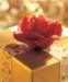 aib026009_small.jpg