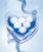aib026021_small.jpg
