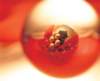aib027015_small.jpg