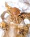 aib027024_small.jpg