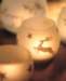 aib027027_small.jpg