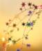 aib027029_small.jpg