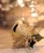 aib027030_small.jpg