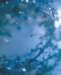 aib027041_small.jpg
