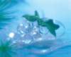 aib027046_small.jpg
