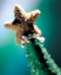 aib027048_small.jpg