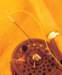 aib028001_small.jpg