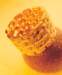 aib028007_small.jpg
