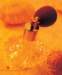 aib028012_small.jpg