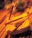 aib028019_small.jpg