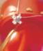 aib028025_small.jpg