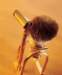 aib028026_small.jpg