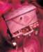 aib028031_small.jpg