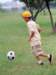 aib032067_small.jpg