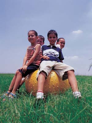 aib032098.jpg