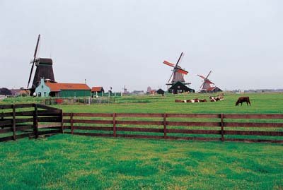 aib035001.jpg