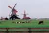 aib035002_small.jpg