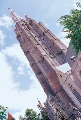 aib035076.jpg