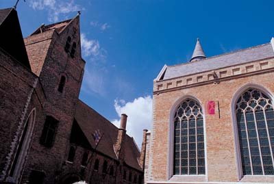 aib035086.jpg