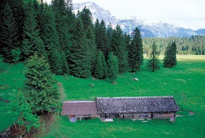 aib037002.jpg
