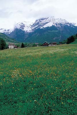 aib037015.jpg