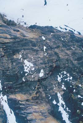 aib037024.jpg