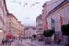 aib037065_small.jpg